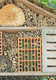 Hotel para insectos